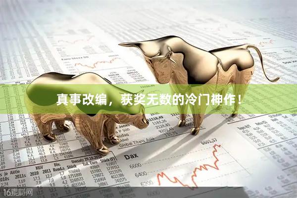 真事改编，获奖无数的冷门神作！